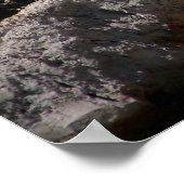 Great Blue Heron Poster (Hoek)