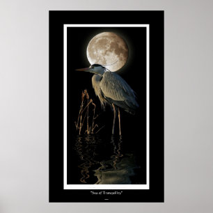 Great Blue Heron, Reeds en Moon Art-afdrukken Poster