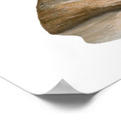 Great Blue Heron Rock Poster (Hoek)