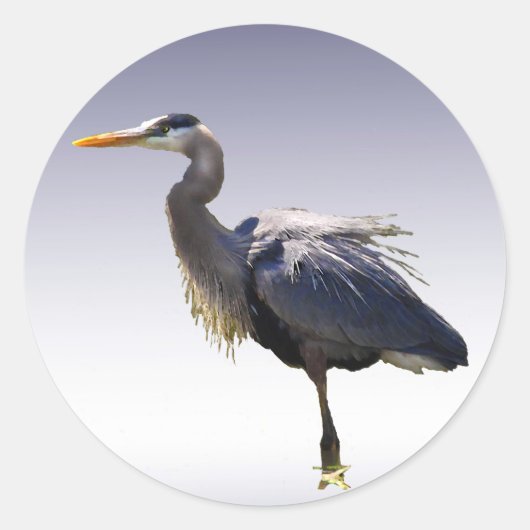 Great Blue Heron Ronde Sticker (Voorkant)