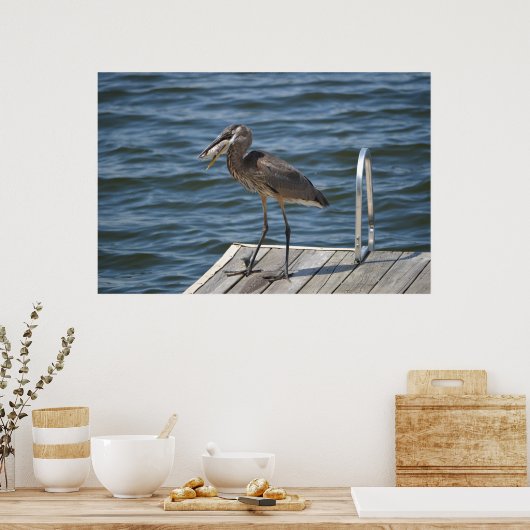 Great Blue Heron Sluiten Poster (Keuken)