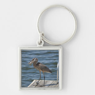 Great Blue Heron Sluiten Sleutelhanger