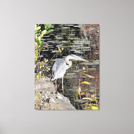 Great Blue Heron Stretched Canvas Print