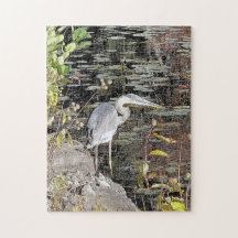 Great Blue Heron Stretched Canvas Print
