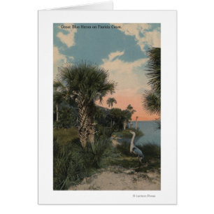 Great Blue Heron sur la plage de la côte de Florid