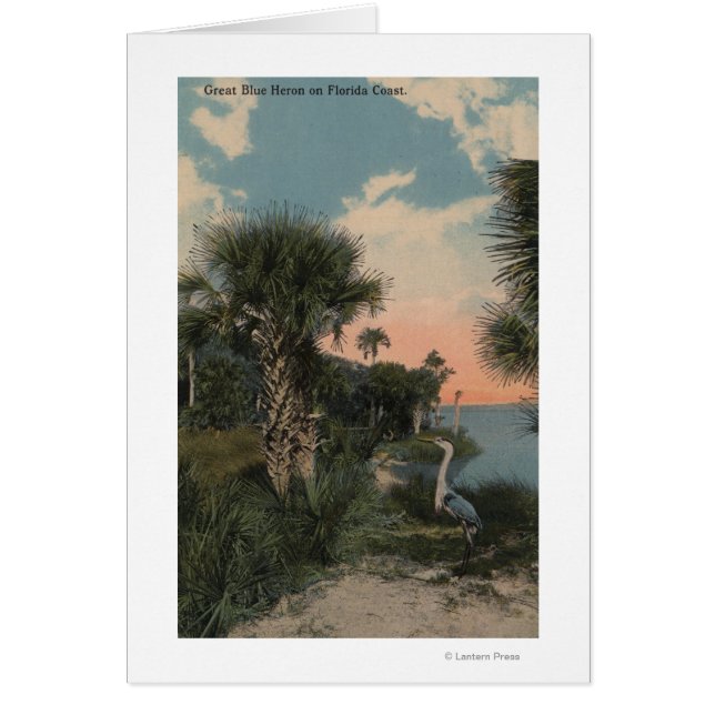 Great Blue Heron sur la plage de la côte de Florid (Devant)