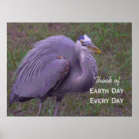 Great Blue Heron Territory