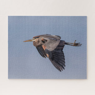 Great Blue Heron tijdens de vlucht Legpuzzel