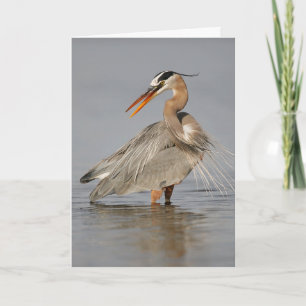 Great Blue Heron Twisting Folding Wenskaart Kaart