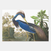 Great Blue Heron van John James Audubon Decpupage Inpakpapier Vel (Voorkant 2)
