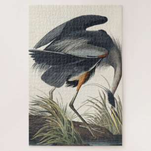 Great Blue Heron van vogels uit Amerika Legpuzzel