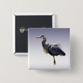 Great Blue Heron Vierkante Button 5,1 Cm (Voorkant /achterkant)