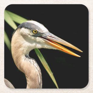 Great Blue Heron Vierkante Kartonnen Onderzetter