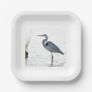 Great Blue Heron - wading Papieren Bordje