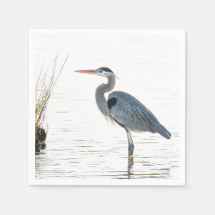 Great Blue Heron - wading Servet