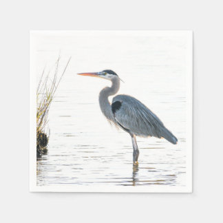 Great Blue Heron - wading Servet