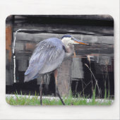 Great Blue Heron Waiting Muismat (Voorkant)