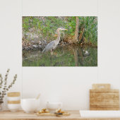 Great Blue Heron Woodland Poster (Keuken)