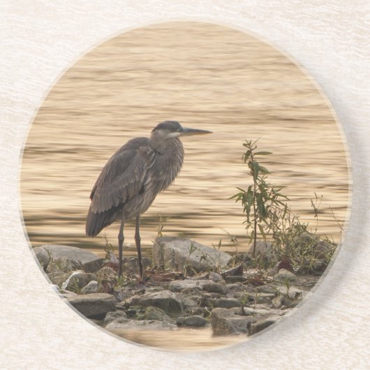 Great Blue Heron Zandsteen Onderzetter (Voorkant)