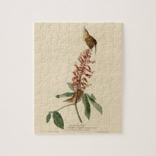 Great Carolina Wren - Audubon's Birds of America Legpuzzel