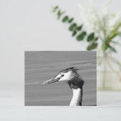 Great Crested Grebe-Briefkaart Feestdagenkaart (Staand voorkant)