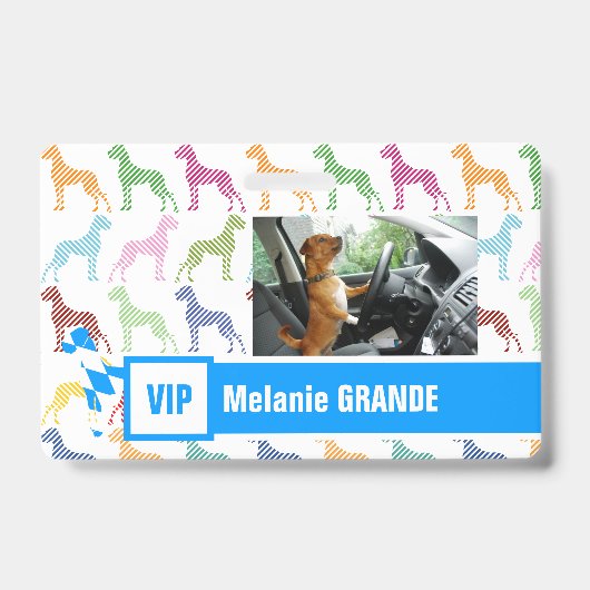 Great Dane-badge Badge (Voorzijde)