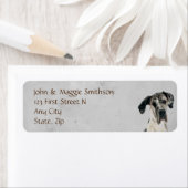 Great Dane Chien Animal Étiquette animal animal (En situation)