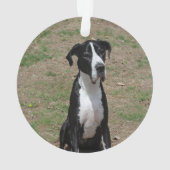 Great Dane Christmas Plaid Dog Naam Foto Ornament (achterkant)