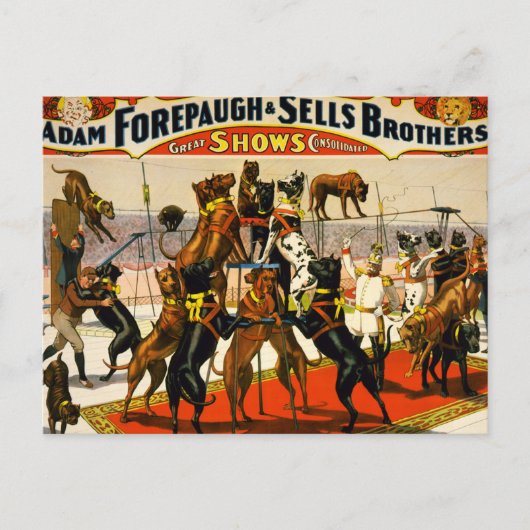 Great Dane Circus Show Briefkaart (Voorkant)