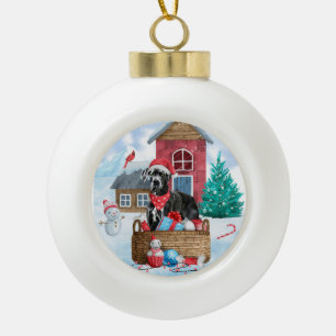 Great Dane Dog in het sneeuwbalhuis Keramische Bal Ornament