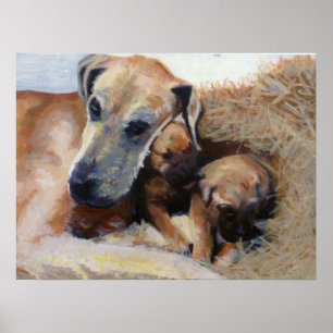 Great Dane Dog-portret Poster