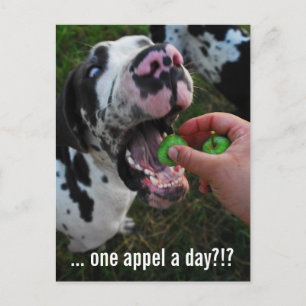 Great Dane Dokter Briefkaart