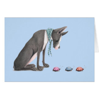 Great dane et coccinelles