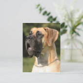Great Dane - fawn/Deutsche Dogge - gelb Briefkaart (Staand voorkant)