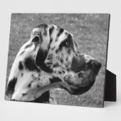 GREAT DANE FOTOPLAAT (Zijkant)