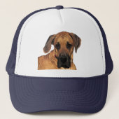 Great Dane Gentle Casquette Géant (Devant)