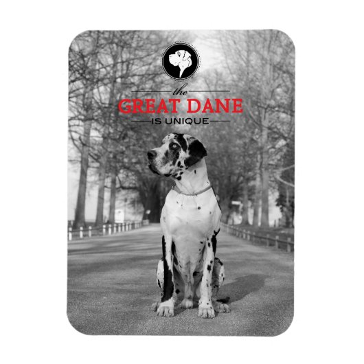 Great Dane Graphics Magneet (Verticaal)