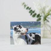 Great Dane - Harlequin - Bogey Briefkaart (Staand voorkant)