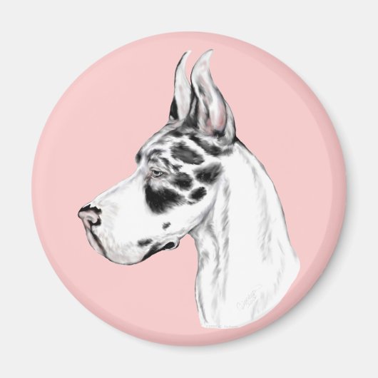 Great Dane Harlequin Feminine Magneet (Voorkant)