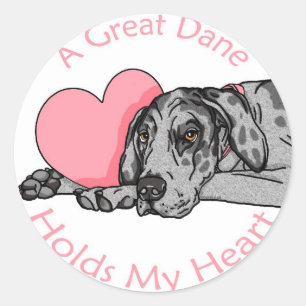 Great Dane Holds Heart Merle UC Ronde Sticker