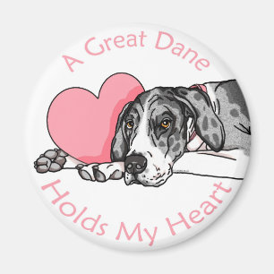 Great Dane Holds Heart MerleB UC Magneet