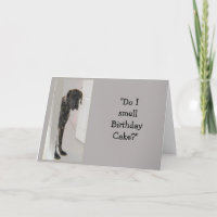 Great Dane Hond Humor Verjaardagstaart Pret