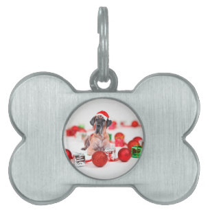Great Dane-hond met kerstornamenten cadeaus Huisdieren Naamplaatje