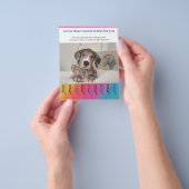 Great Dane honden trainer Flyer (Hand)