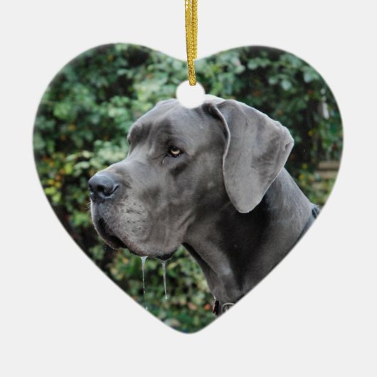 Great Dane Images Keramisch Ornament (Voorkant)