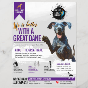 Great Dane informatie Flyer