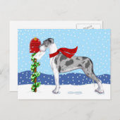 Great Dane KerstMail Merle UC Feestdagenkaart (Voorkant / Achterkant)