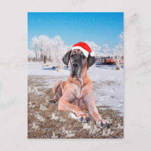 Great Dane Kerstmis Feestdagenkaart