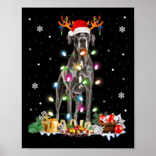 Great Dane Kerstmis Kerstmannenhoed Sprookjeslicht Poster