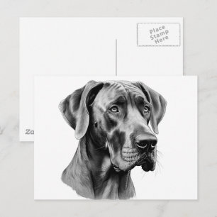Great Dane kop tekening Ansichtkaart Briefkaart